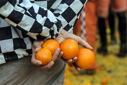 Цитрусовые фрукты помогут в борьбе с ожирением — Ученые